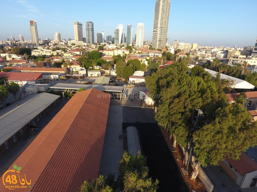 yaffa train  (3).jpg.jpg